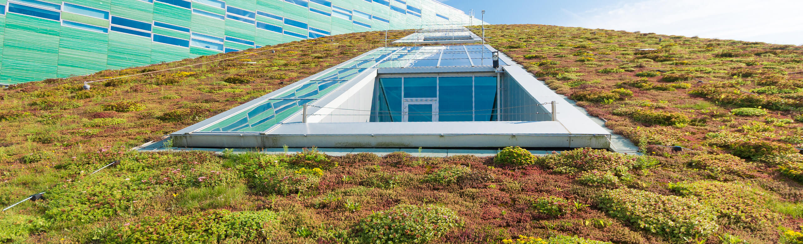 Extensive green roof with skylights; “Construction” text overlay